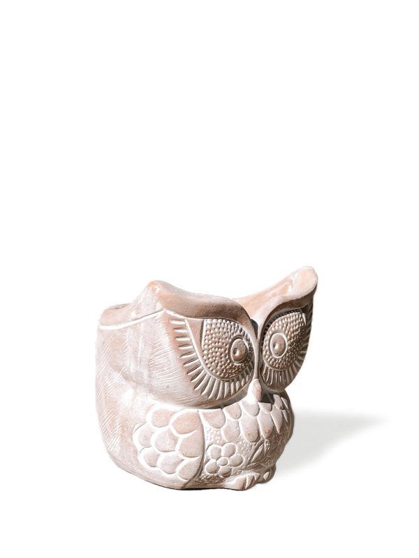 Terracotta Pot - Big Eye Owl - Image 3