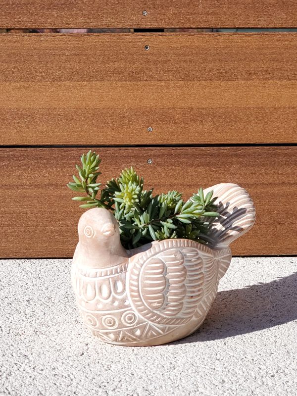 Terracotta Pot - Turtle Dove - Image 4