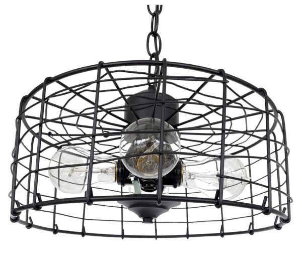 Modern Farmhouse Black Cage Light