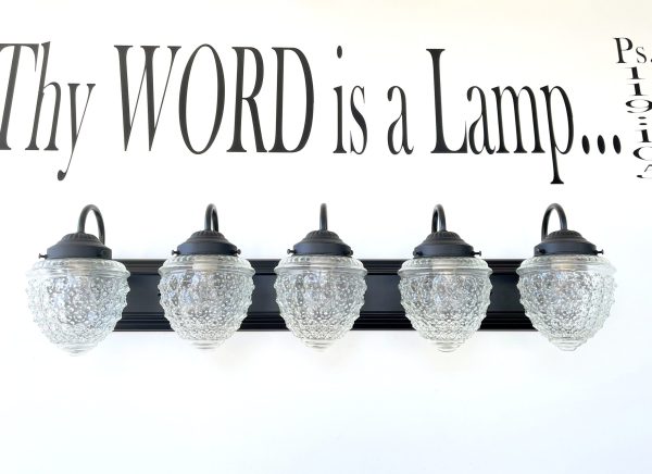 Antique Acorn Glass VANITY Light - 3 Sizes - Image 9