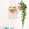 Plant Hanger - Nadu - Image 6