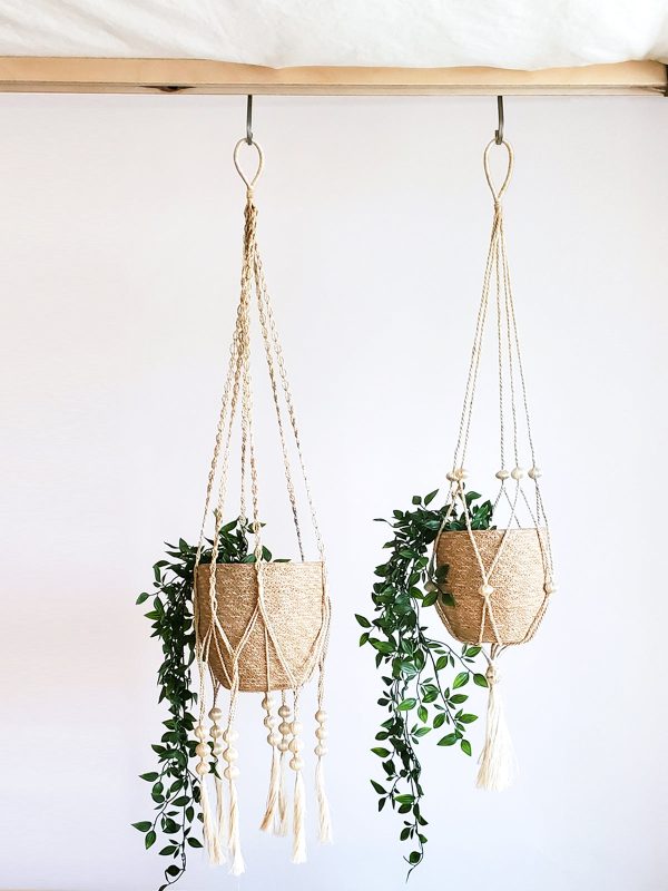 Plant Hanger - Fiora - Image 3