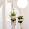 Plant Hanger - Nadu - Image 5